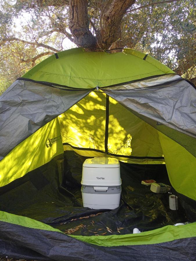 Al Tent Chania (Crete)
