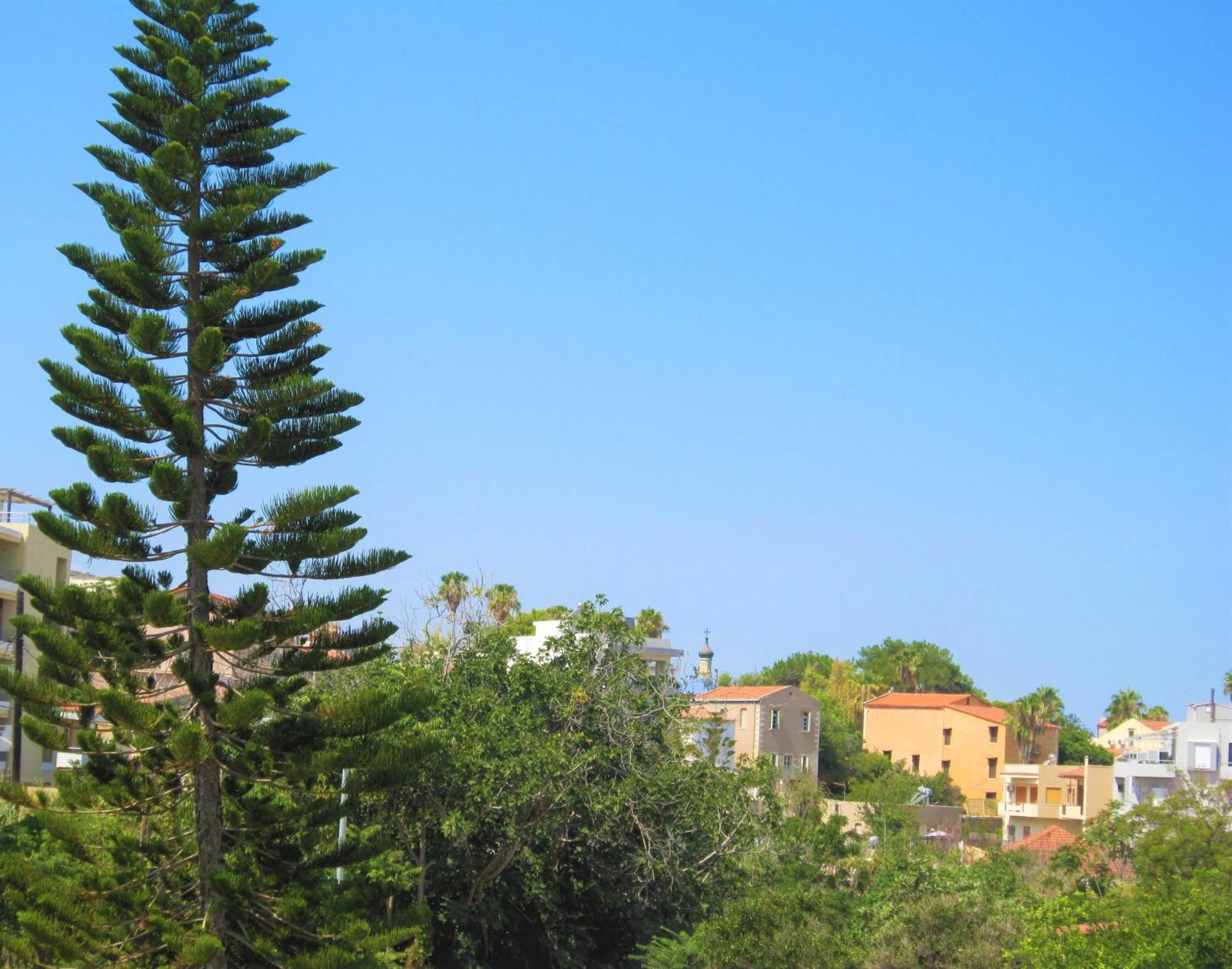 Apartment Sweet Lena Chania (Crete)