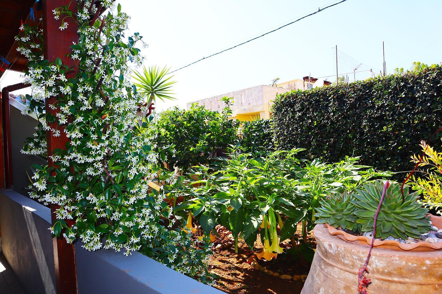 Holiday home Casa Nel Verde Chania (Crete)