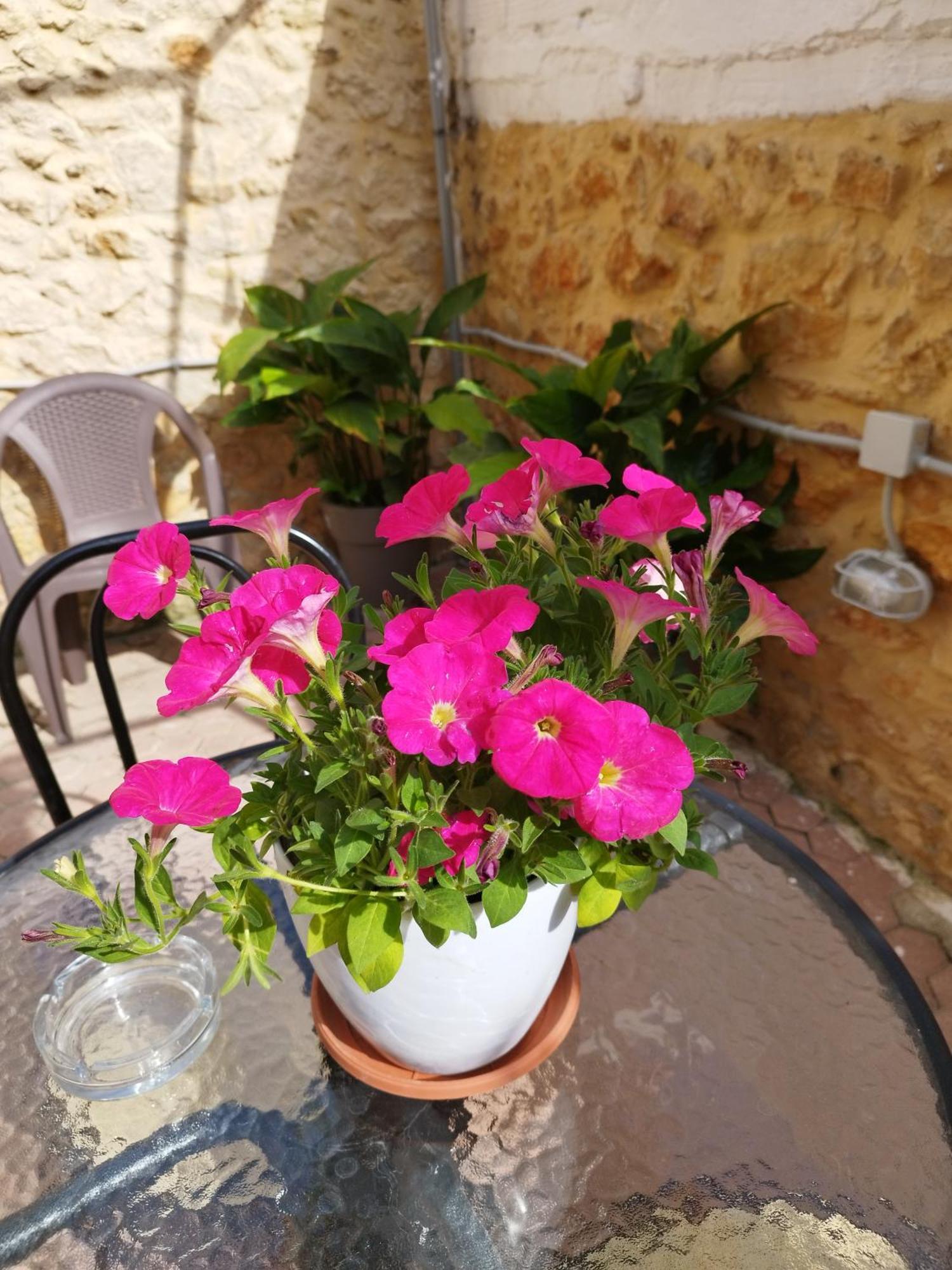 Katerina Chania (Crete)