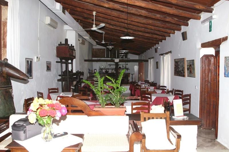 Oasis