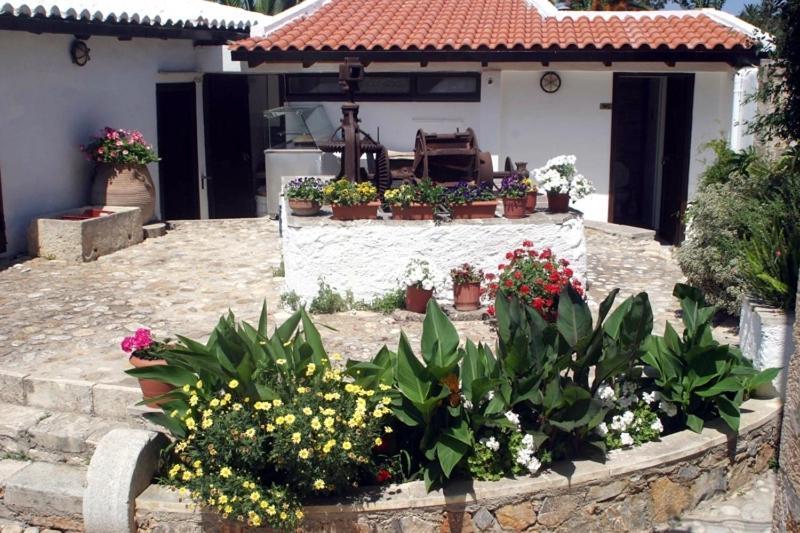 Hotel Oasis