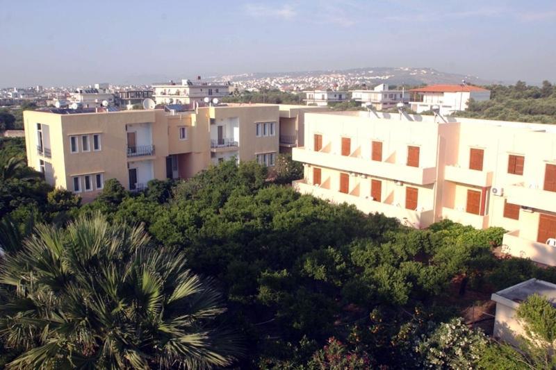 Oasis
