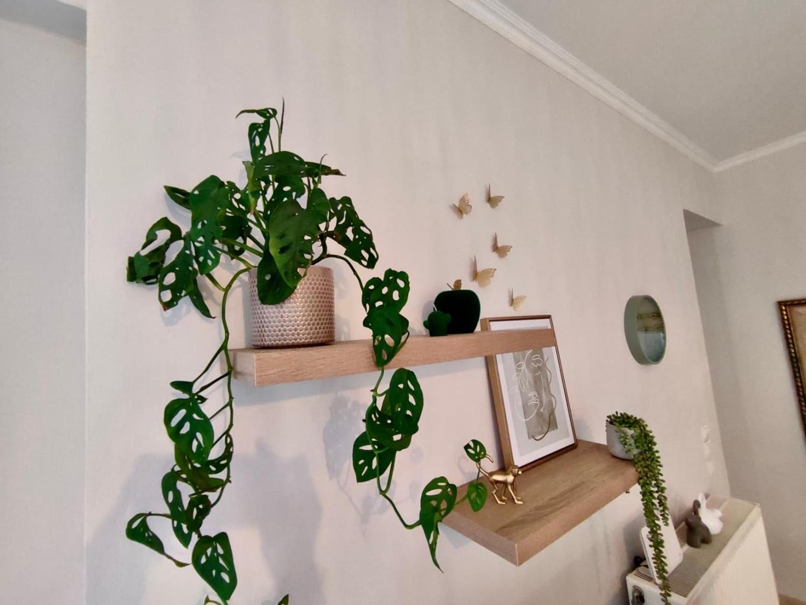 Apartment Tzitzifianaki Cozy Chania (Crete)