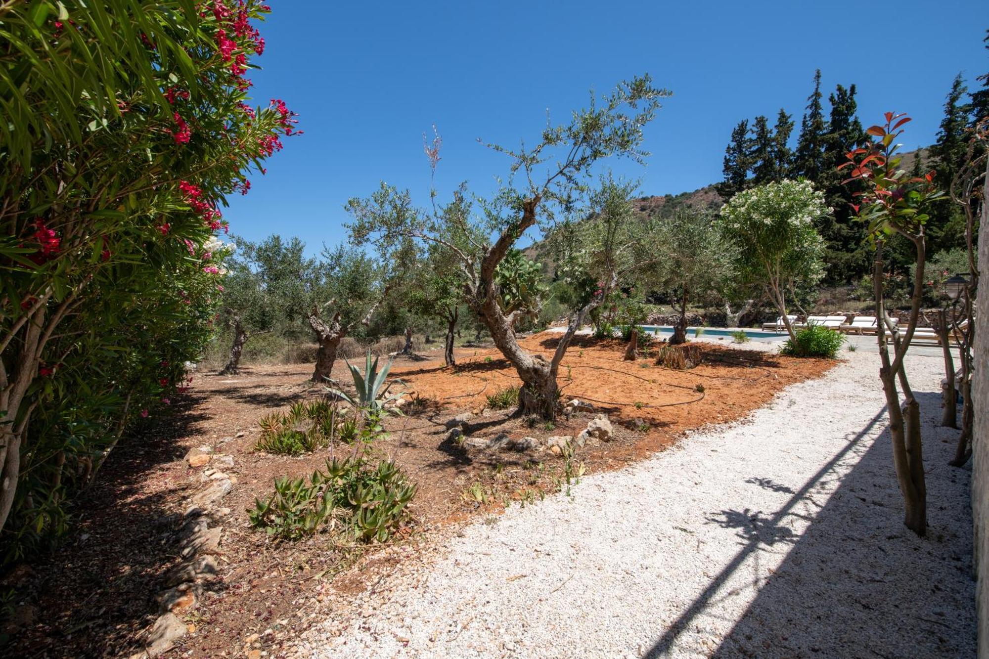 The Pines Chania (Crete)