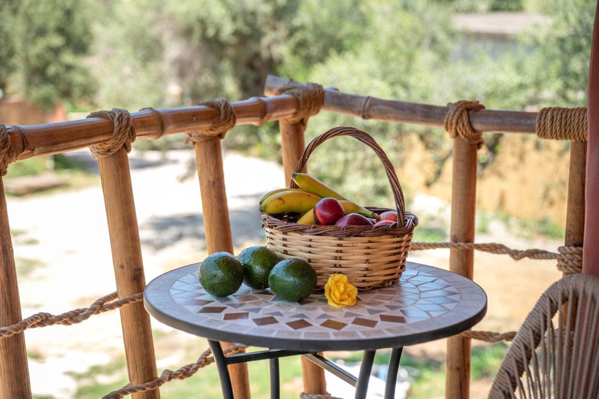 Eco Olive Treehouse Campsite