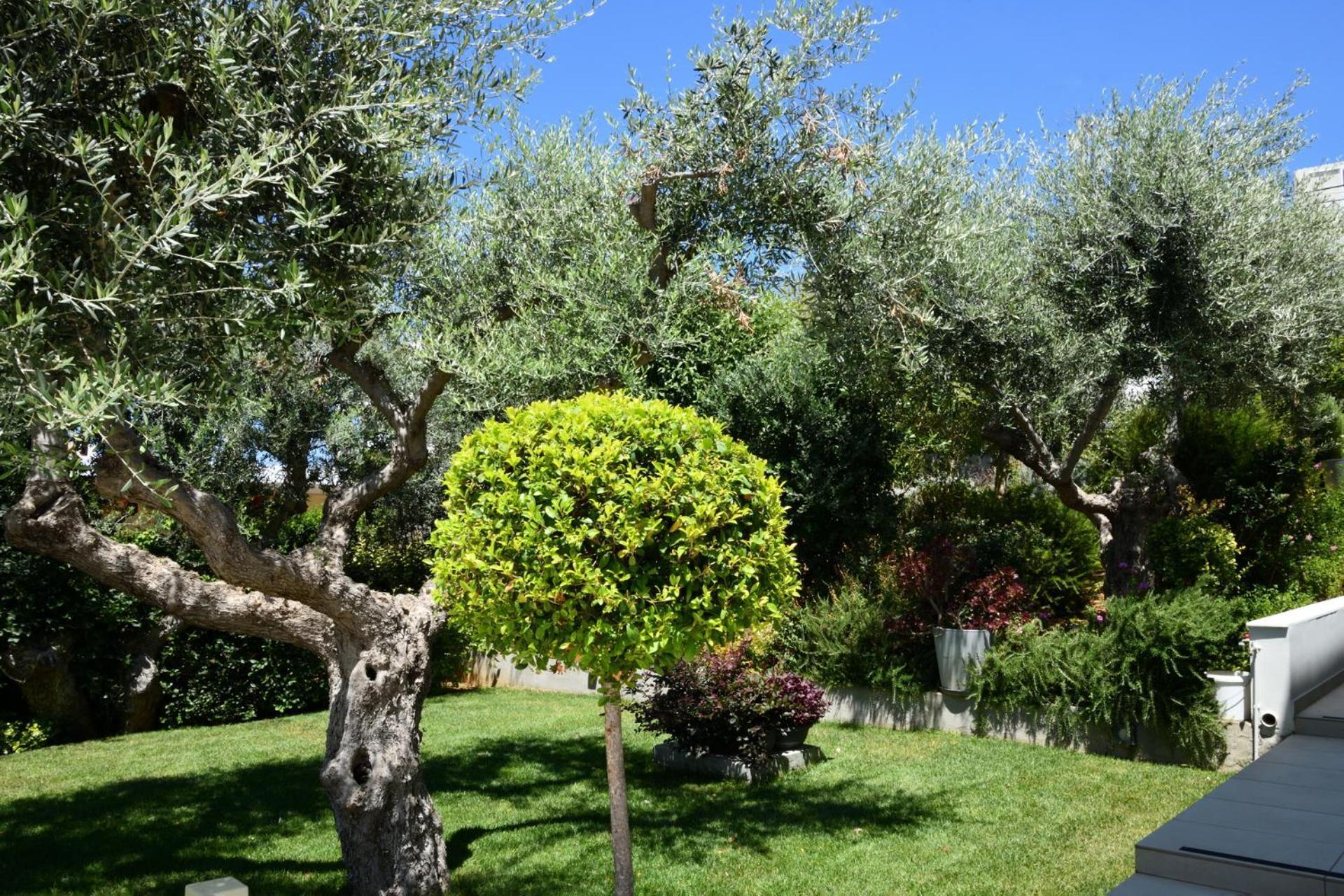 Villa Sunlight Breeze