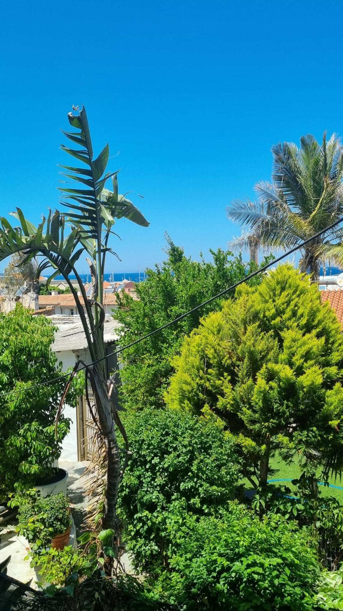 Thimari Gardens Chania (Crete)