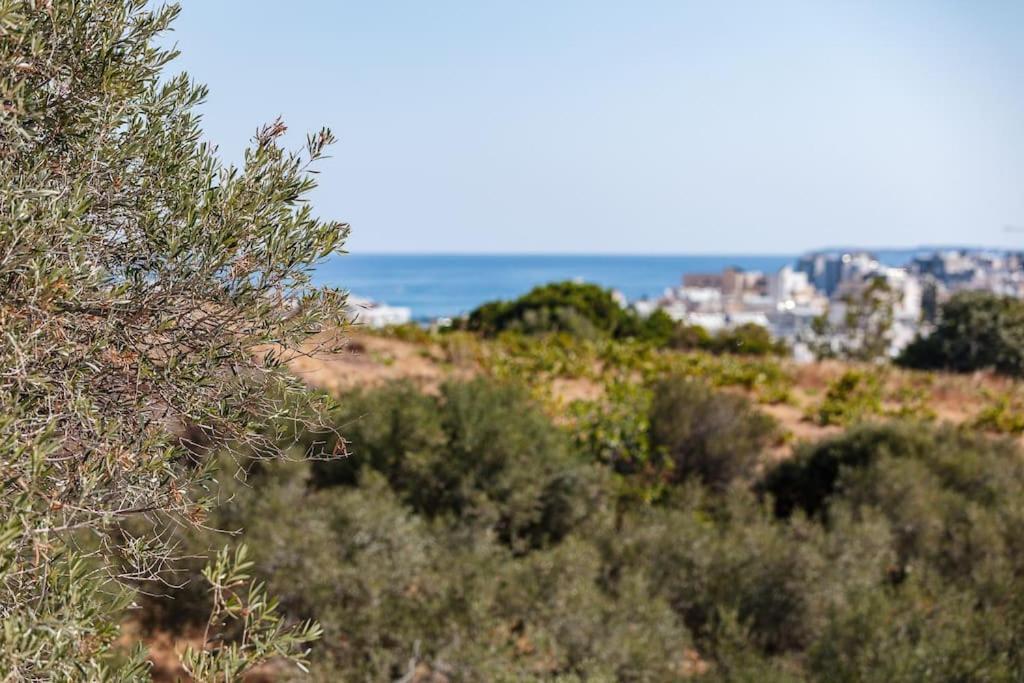Ikon Living Chania *