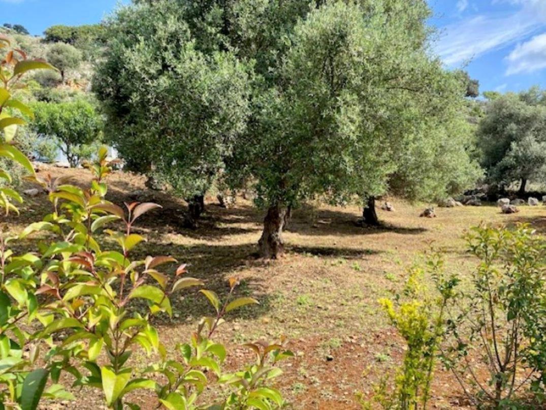 Villas Hermes Et Penelope Holiday home