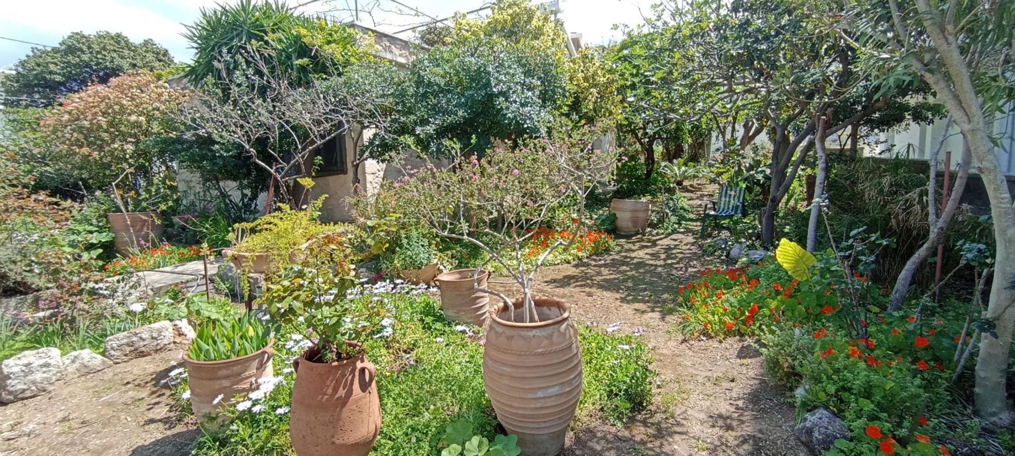 Stone House Into Amazing Garden