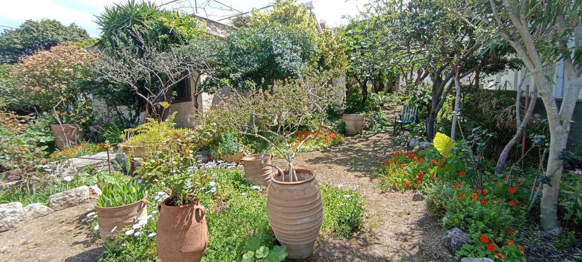Stone House Into Amazing Garden