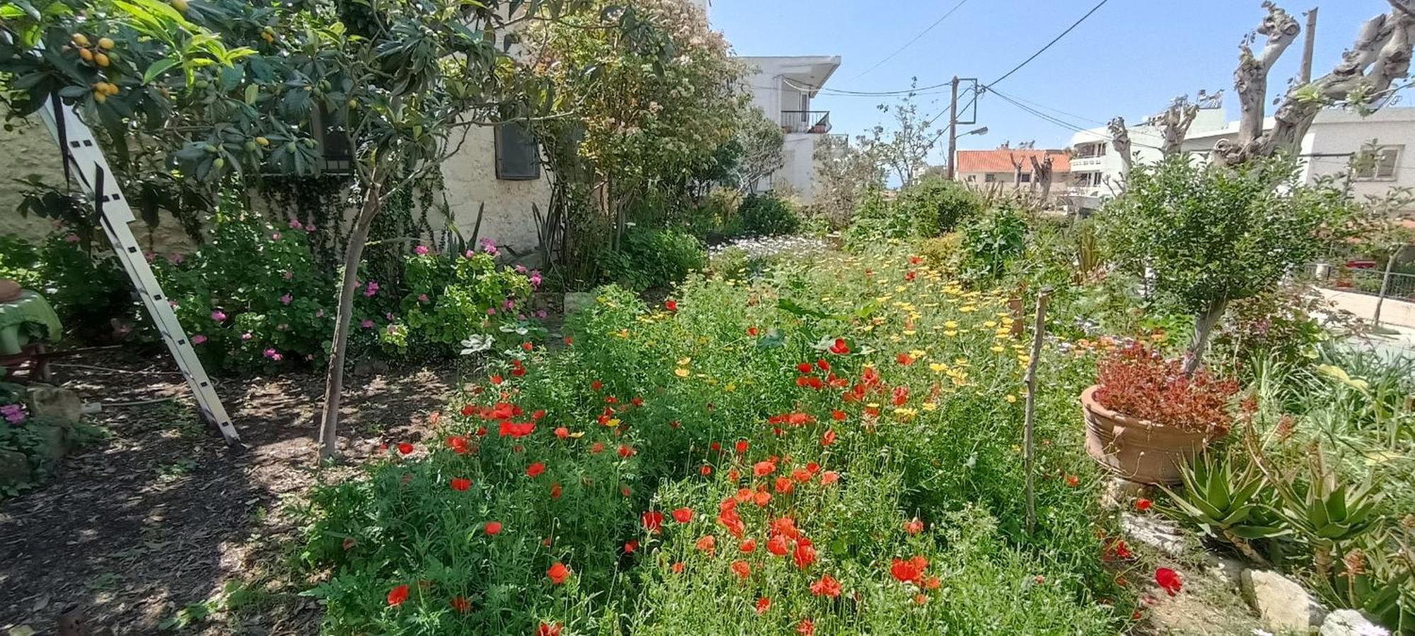 Casa de férias Stone House Into Amazing Garden Chrissi Akti Chania