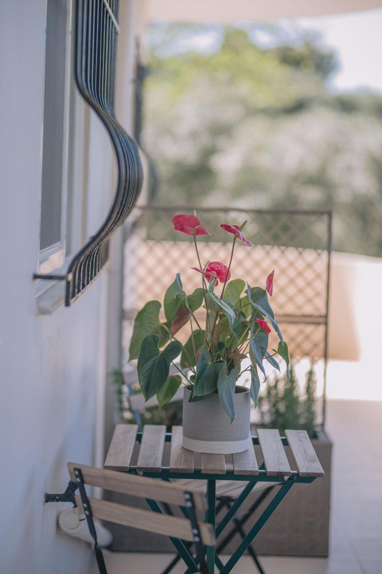 Apartment Summer Blue Chania