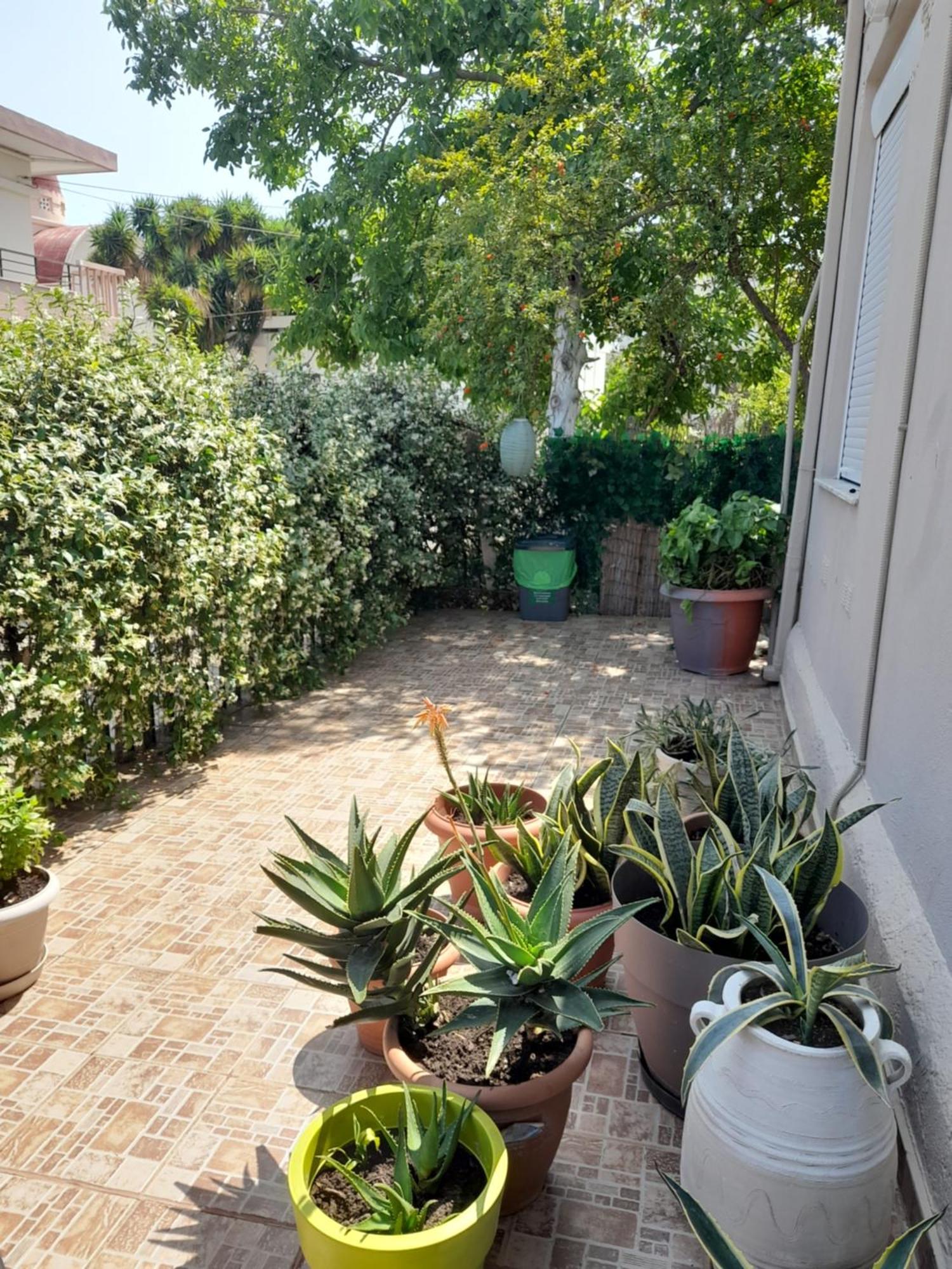 Apartment Myhope Chania (Crete)