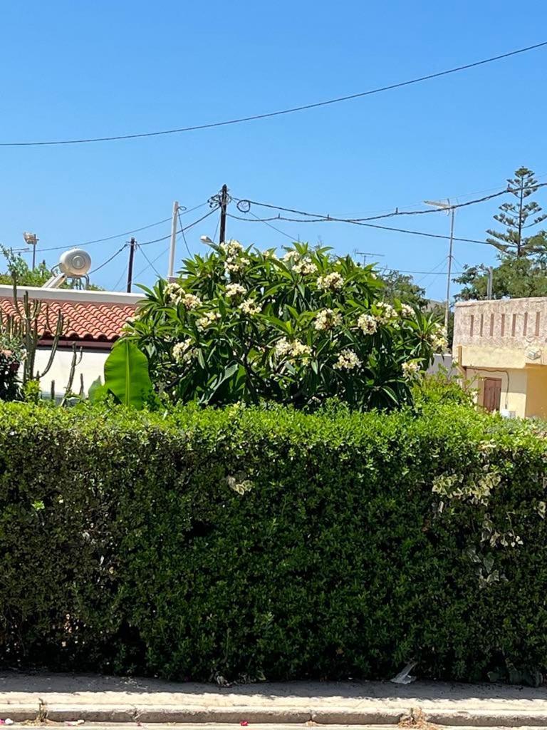 Olga's Front Yard Apartment Chania (Crete)