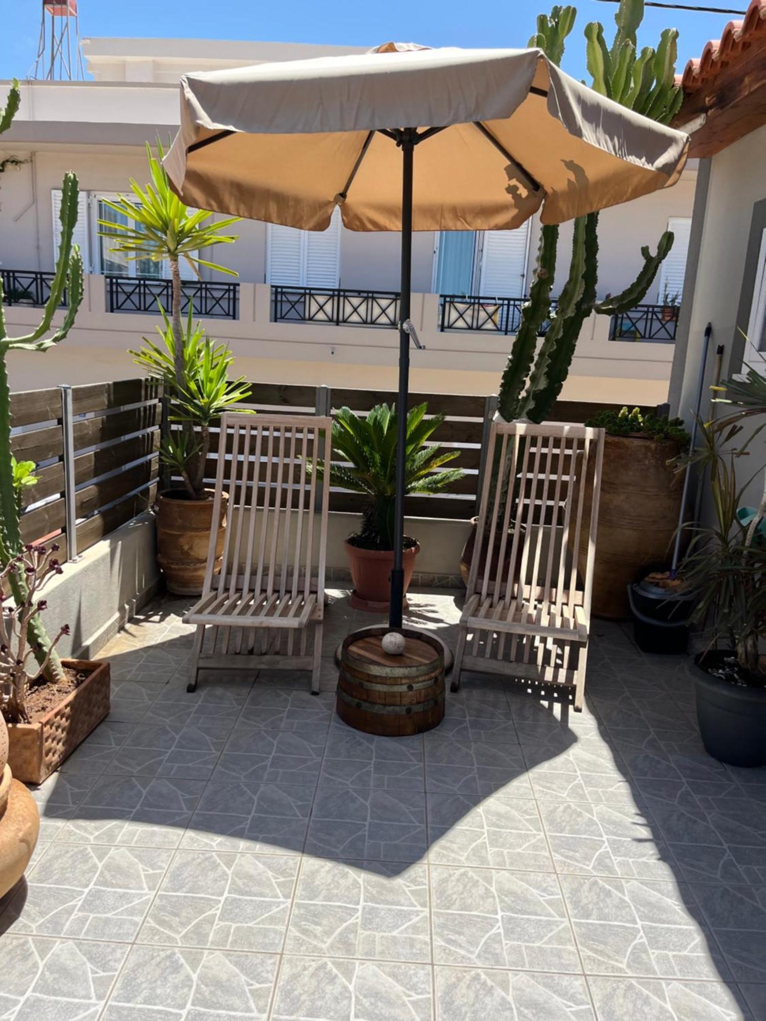 Olga's Front Yard