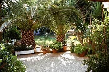 Armonia Hotel Chania (Crete)