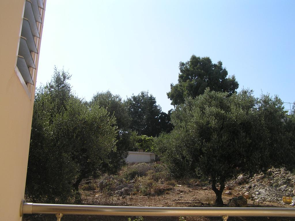 George's House