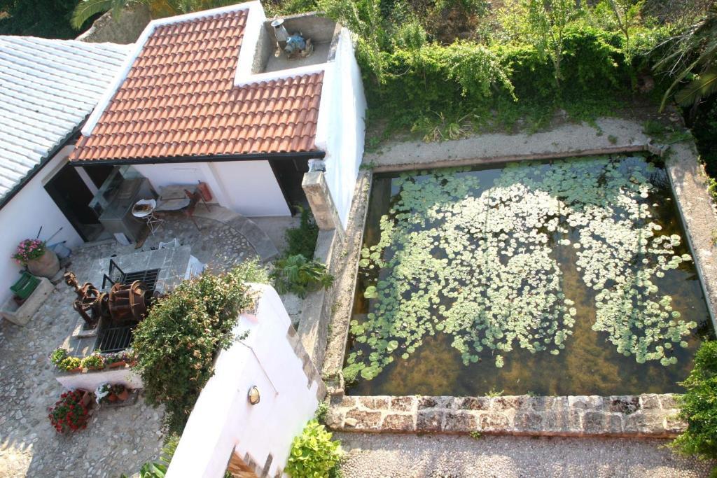 Hotel Oasis Chrissi Akti Chania