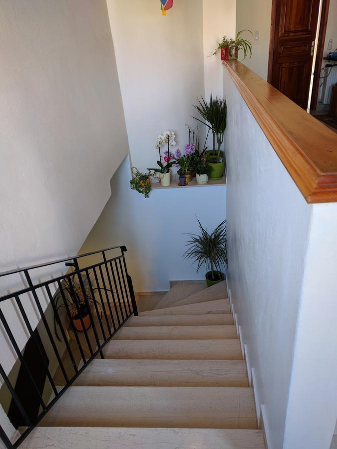 Apartment Rayon De Soleil *