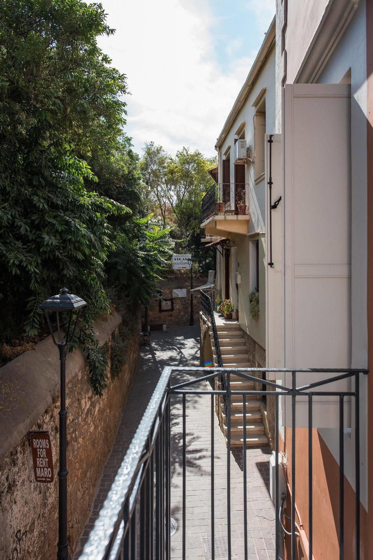 Elia Portou Chania (Crete)