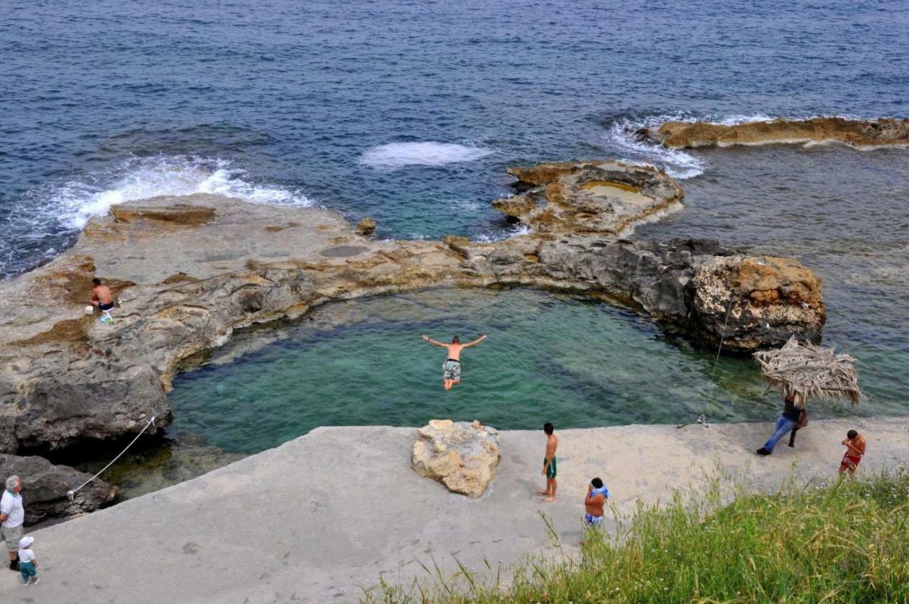 Apartment Amazing Sea View (adults Only)