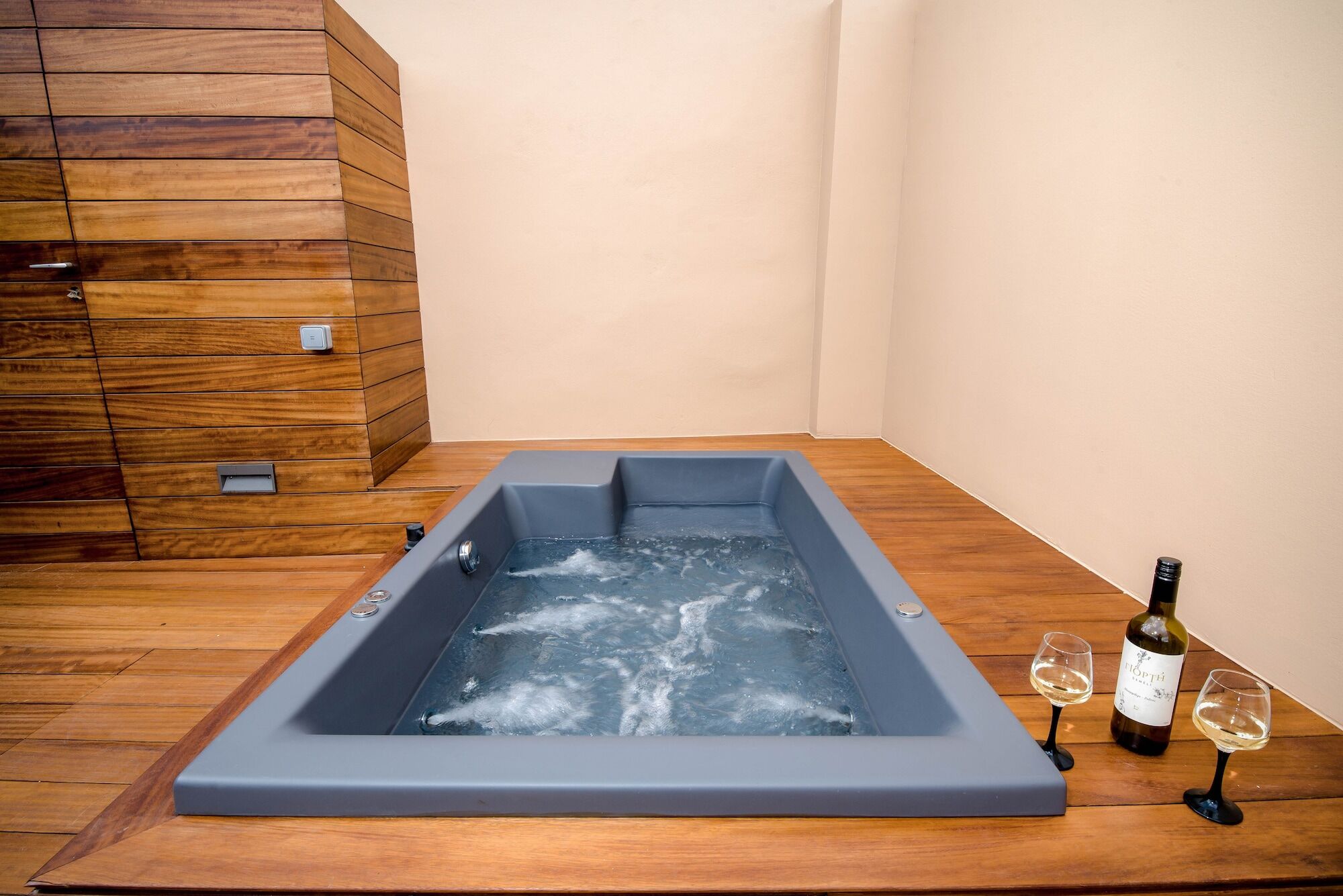 Apartment Portou House